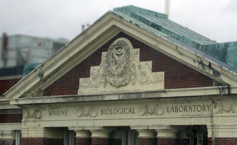 Marine Biological Laboratory fontispiece above entrance