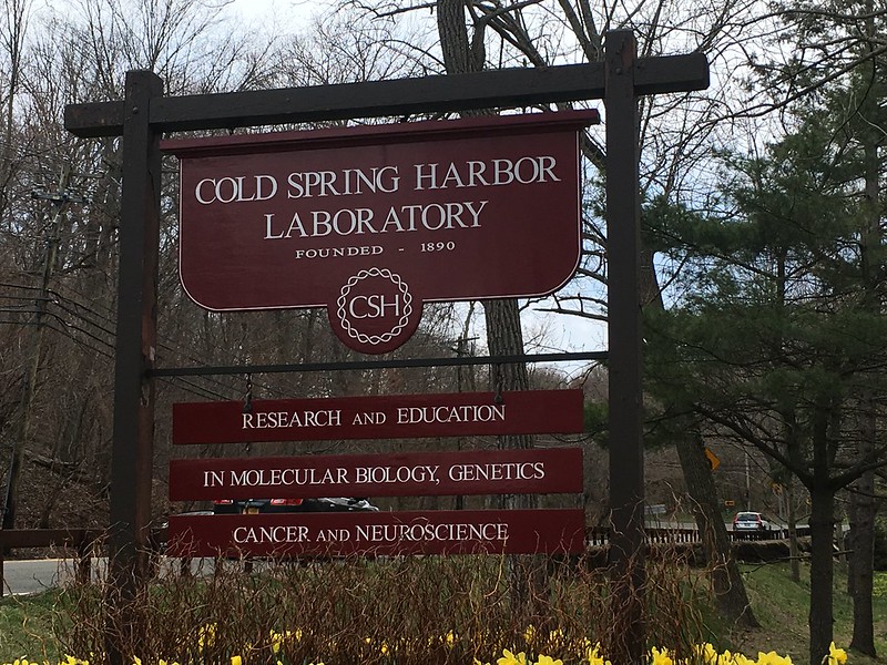 cold spring harbor